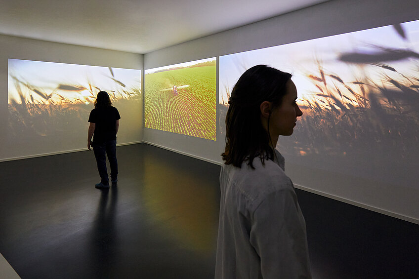 Zwei Menschen stehen vor Videoprojektionen im NAWAREUM. Man sieht ihre Silhouetten. Die Bilder im Hintergrund zeigen Getreidefelder.